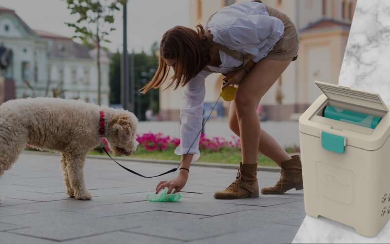 How To Properly Maintain A Dog Poop Disposal System?