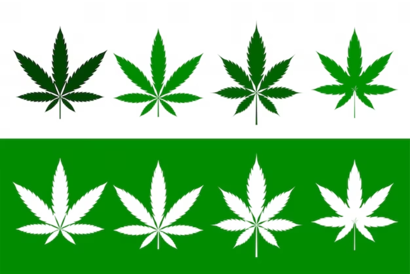 What Are The Requirements To Obtain A Medical Marijuana Card?