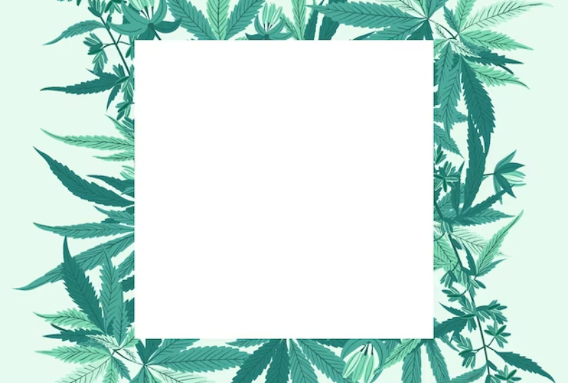 medical marijuana card