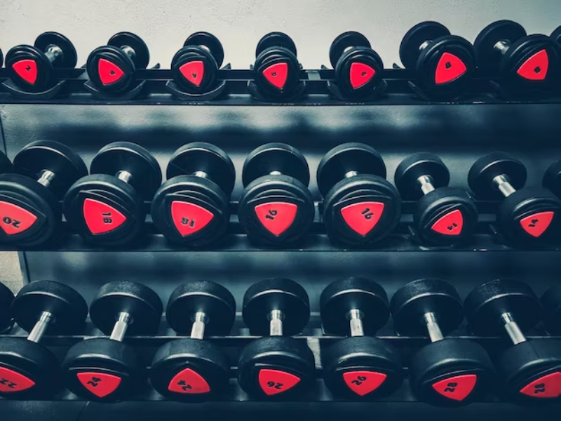 gym equipment wholesale