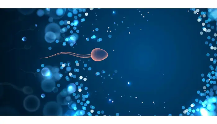 Affordable IUI Options: How To Save On Treatment Costs?