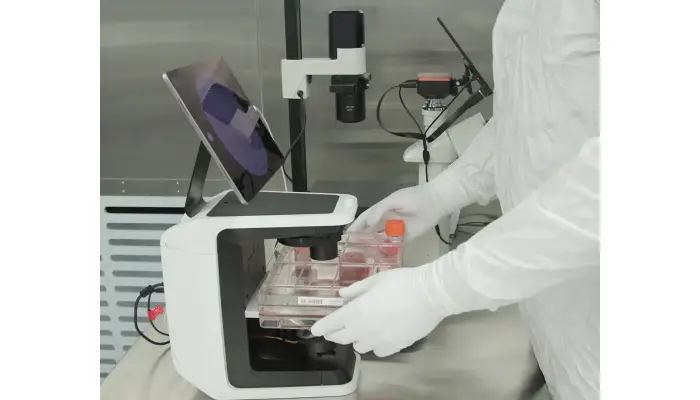 How To Choose The Best Adult Stem Cell Banking Provider In Sunrise?