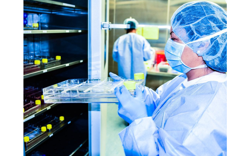How to Compare Stem Cell Preservation Charges Effectively?