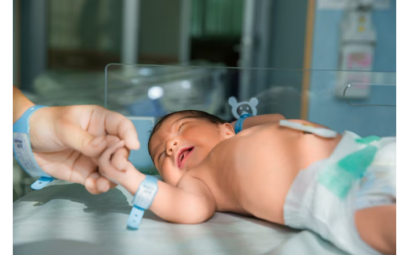 How to Compare Stem Cell Storage Costs?