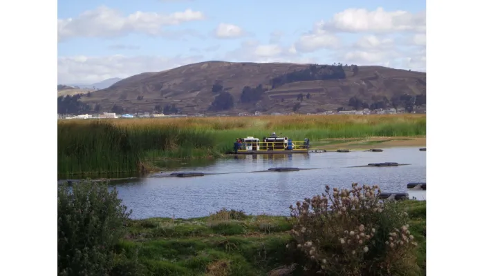 How a Vegetation Dredge Can Improve Water Quality?