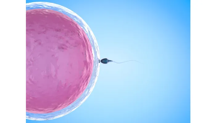 How to Maximize Your IVF Chances in San Diego?