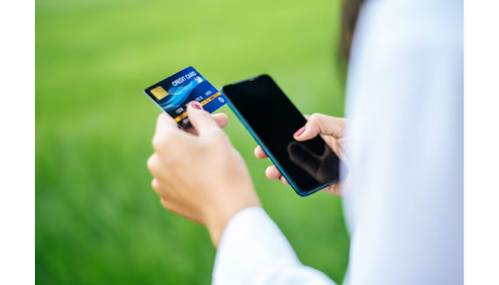 Step-by-Step Guide to Applying for a RuPay Credit Card Online